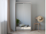 Шкаф-купе Хит (фасад зеркало/зеркало)